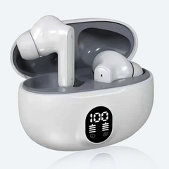 Stereo Earbuds 895B